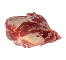 bovino-shoulder