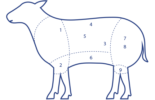 produtos-cat-mutton-numeroj